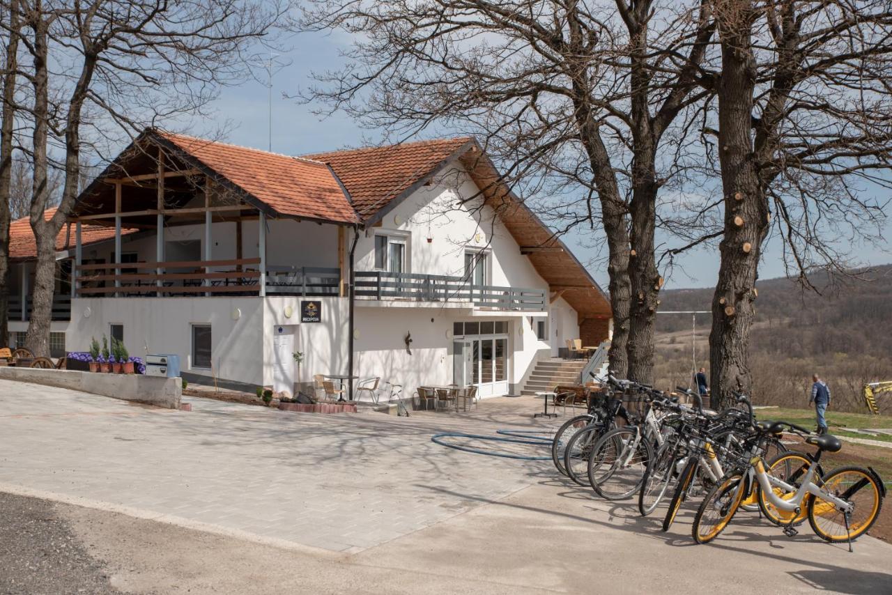 Konak Ljubica Rtanj Boljevac Exteriér fotografie
