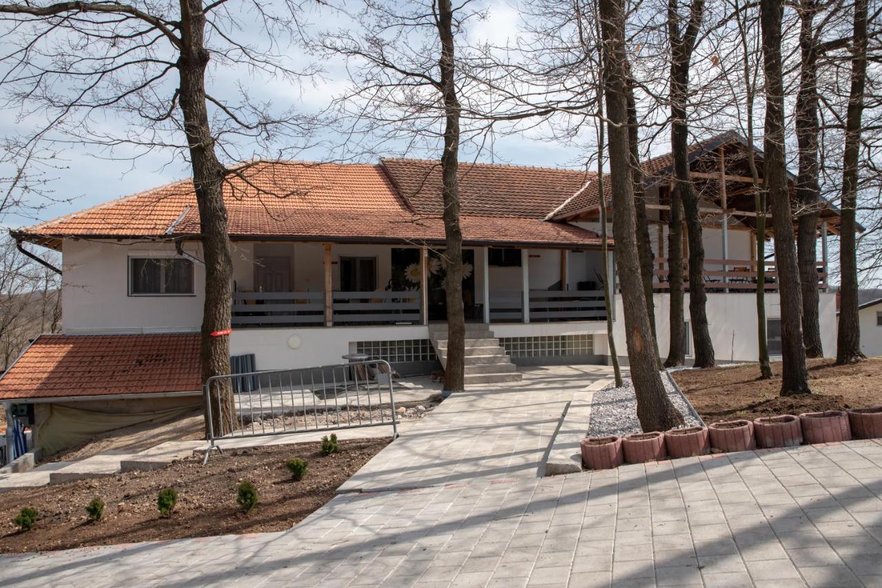 Konak Ljubica Rtanj Boljevac Exteriér fotografie