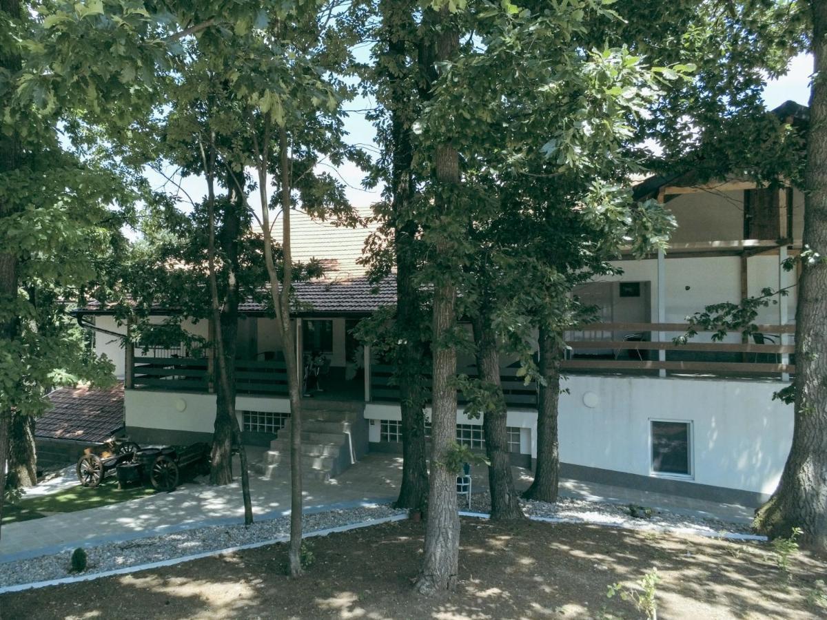 Konak Ljubica Rtanj Boljevac Exteriér fotografie